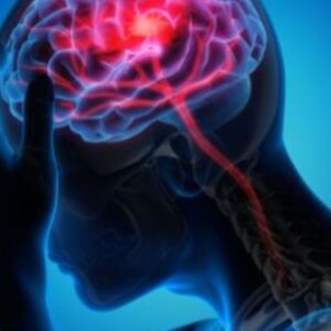 Neuro estrés