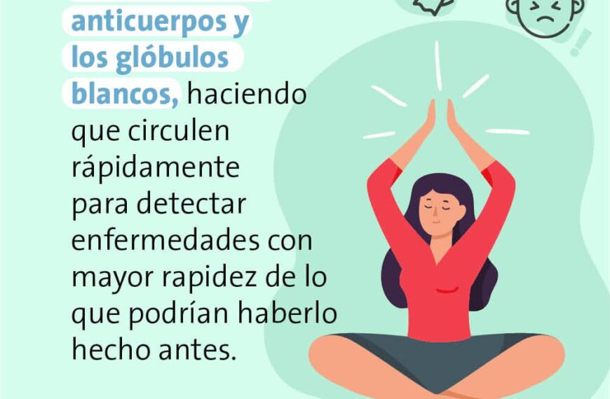 Actividades para evitar el estrés