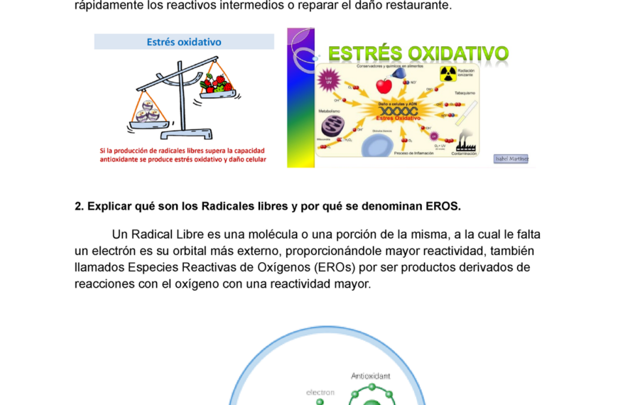Estrés oxidativo y radicales libres