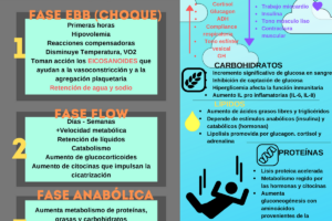 Respuesta metabólica al estrés