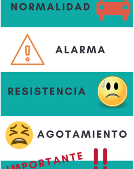 Cómo afecta el estrés en la conducción