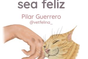 Como quitar el estrés de un gato