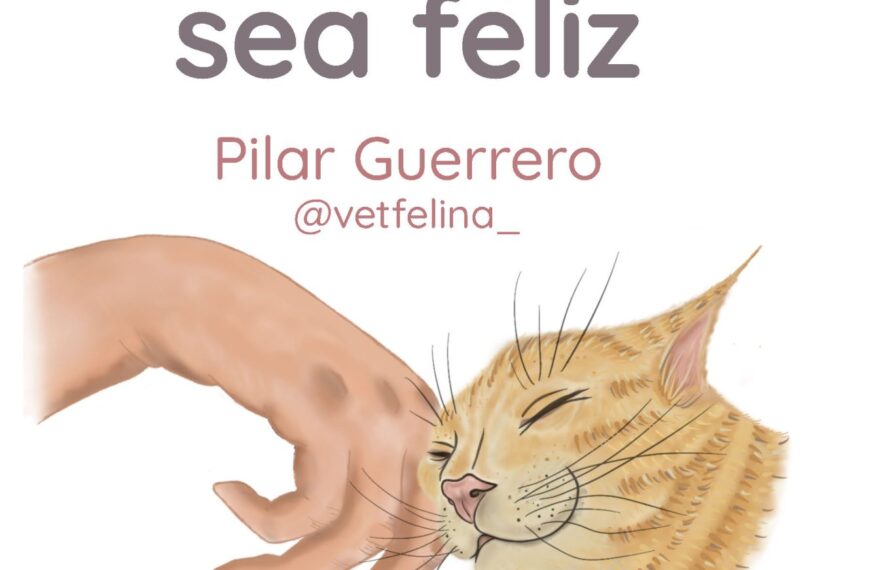 Como quitar el estrés de un gato