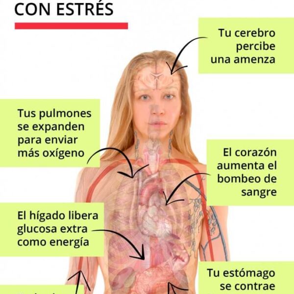 Como quitarle el estrés a una mujer