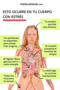 Cómo se siente el estrés en el estómago