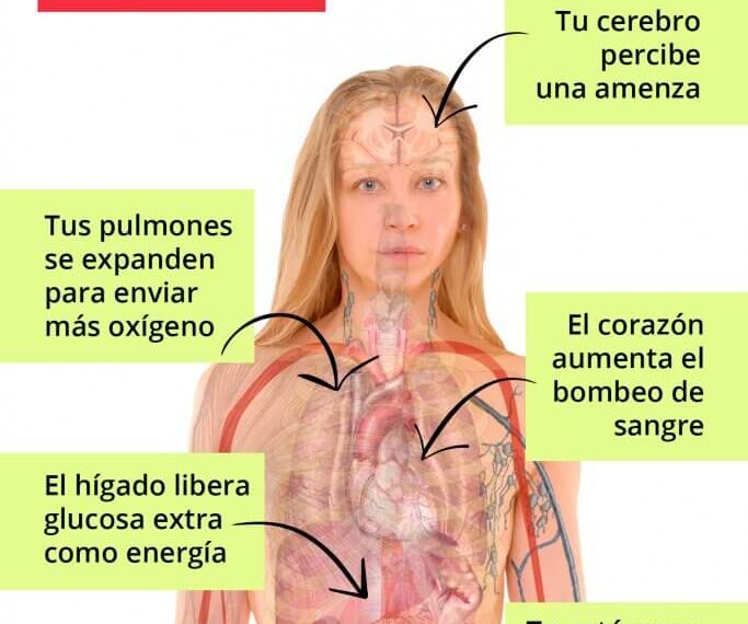 Como se ve el estrés en el cuerpo