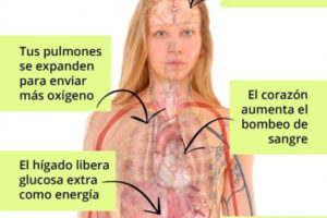 Efectos del estrés en el cuerpo