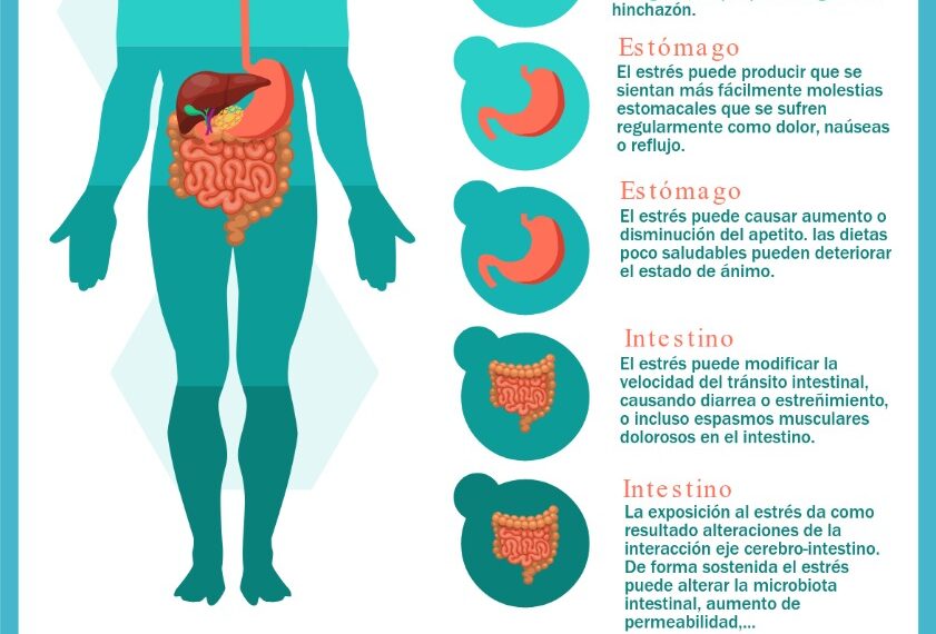 El estrés produce estreñimiento