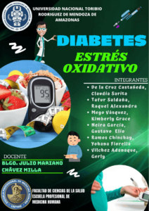 Estrés oxidativo que significa