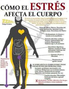 Estrés y depresión