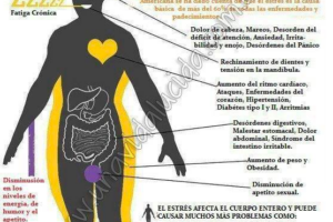 Estrés y depresión