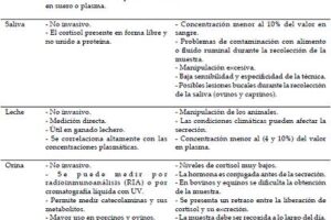 Hormona que aumenta la frecuencia cardiaca ayuda a afrontar el estrés