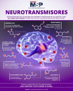 Neurotransmisor del estrés