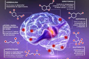 Neurotransmisor del estrés