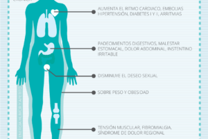 Que daña el estrés en el cuerpo humano