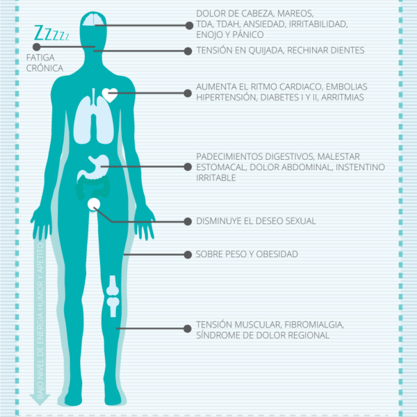 Que daña el estrés en el cuerpo humano