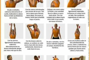Que es bueno para el estrés en la espalda