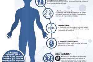 Que es el estrés oxidativo y cómo combatirlo