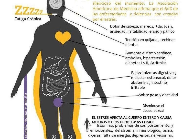 Que parte del cuerpo afecta el estrés