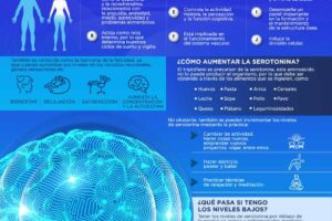 Serotonina y estrés