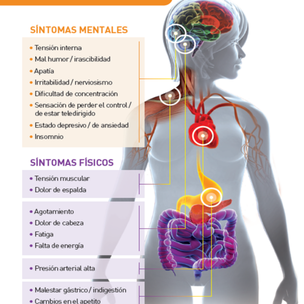 Tensión muscular dolor de espalda por estrés y ansiedad