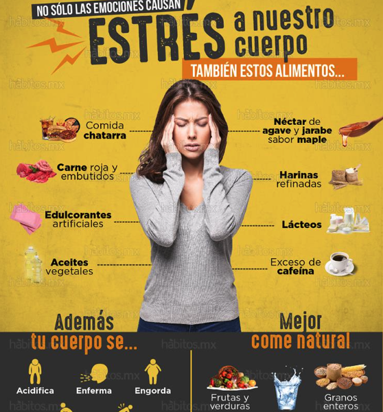 Cómo afecta el estrés a la homeostasis
