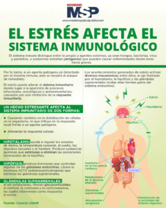 El estrés como afecta al sistema endocrino