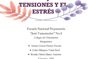 Habilidad de manejo de tensiones y estrés