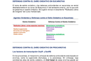 Mecanismos de defensa contra el estrés oxidativo