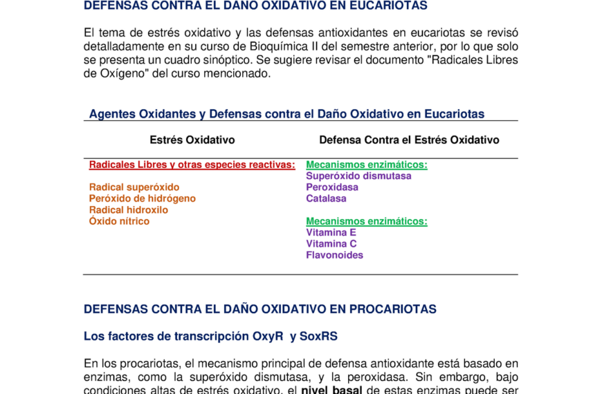 Mecanismos de defensa contra el estrés oxidativo
