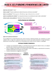 Patrón de adaptación y tolerancia al estrés