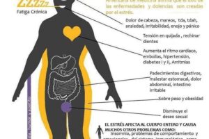 Porque el estrés afecta el sistema inmunológico
