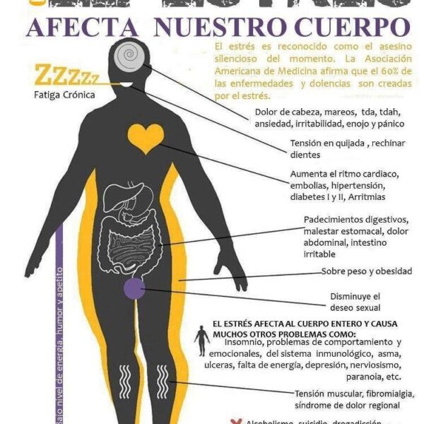 Porque el estrés afecta el sistema inmunológico