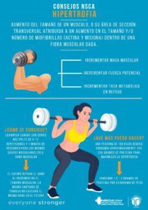 Que es tensión mecánica y estrés metabólico