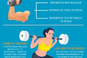 Que es tensión mecánica y estrés metabólico