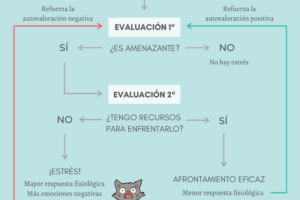 Que implica el pensamiento en el estrés
