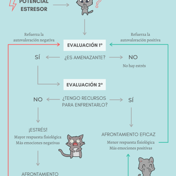Que implica el pensamiento en el estrés