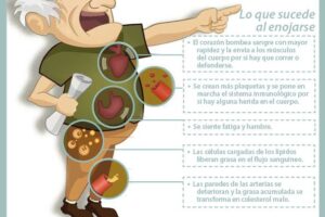 Qué órganos se ven afectados por el estrés