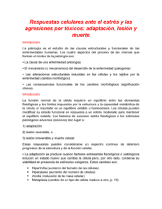 Respuestas celulares ante el estrés y las agresiones por tóxicos